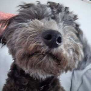 Fundraising Page: Kerry Griffith